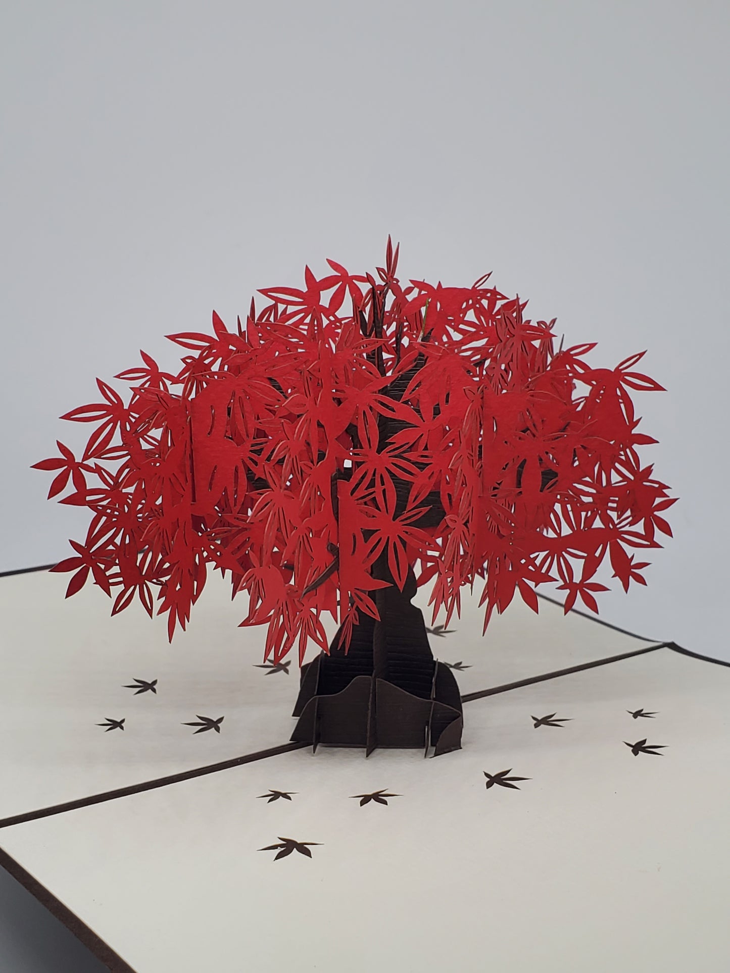 Japanese Maple Tree