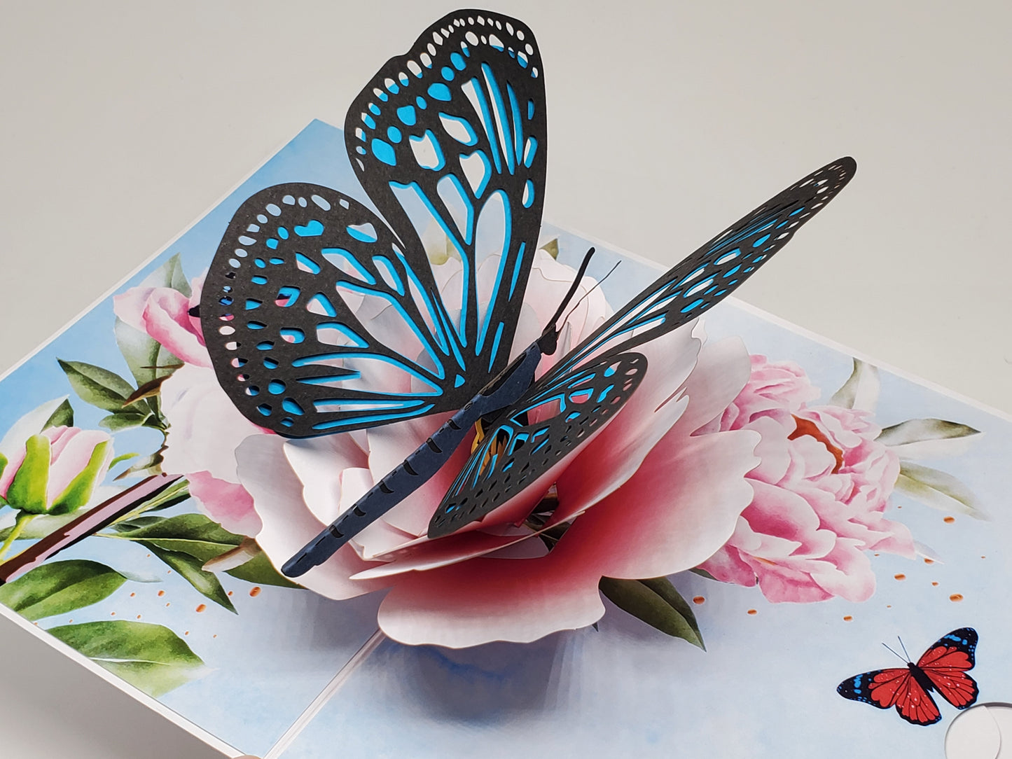 Butterfly on Flower