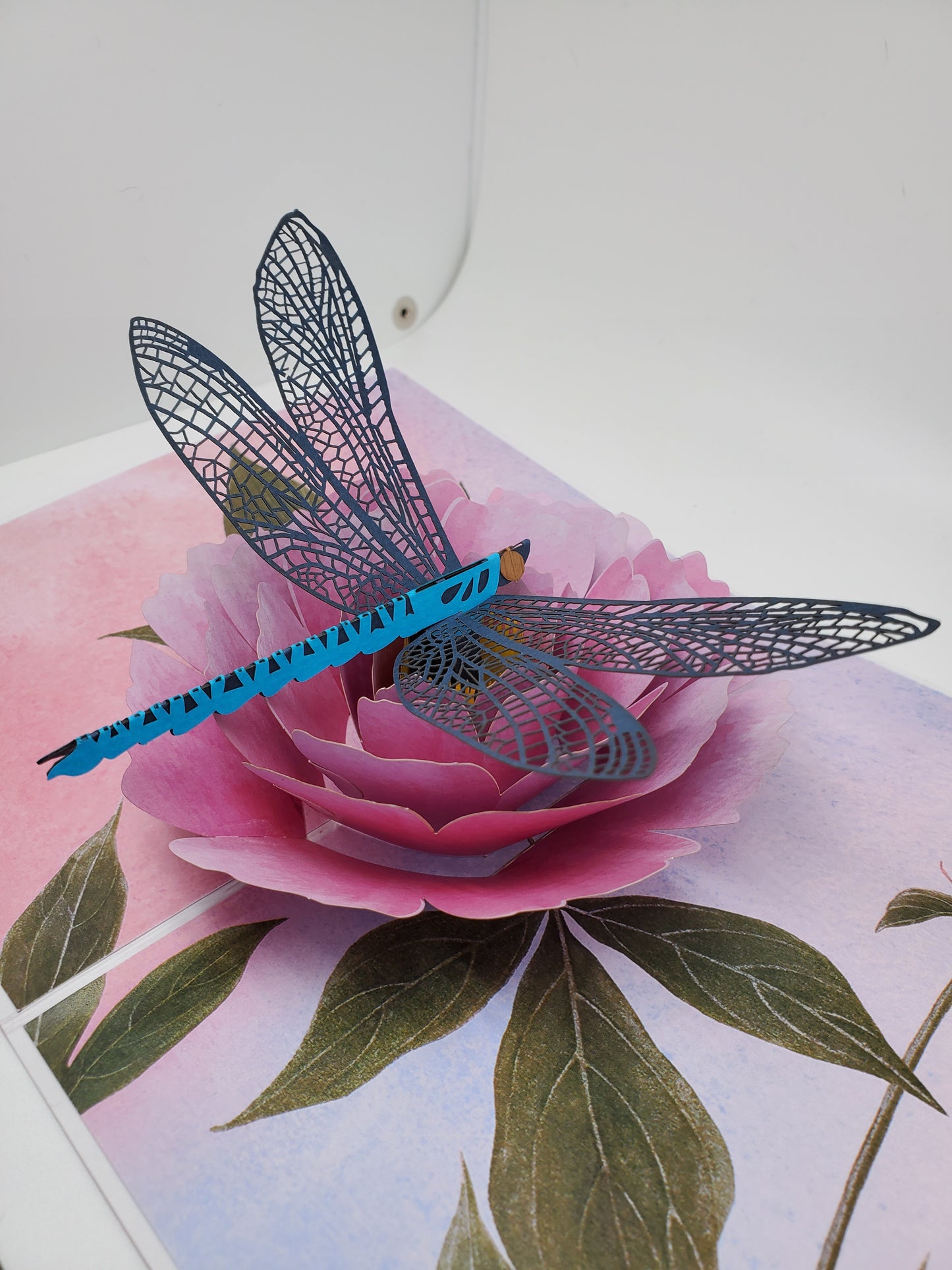 Dragonfly (Pink)