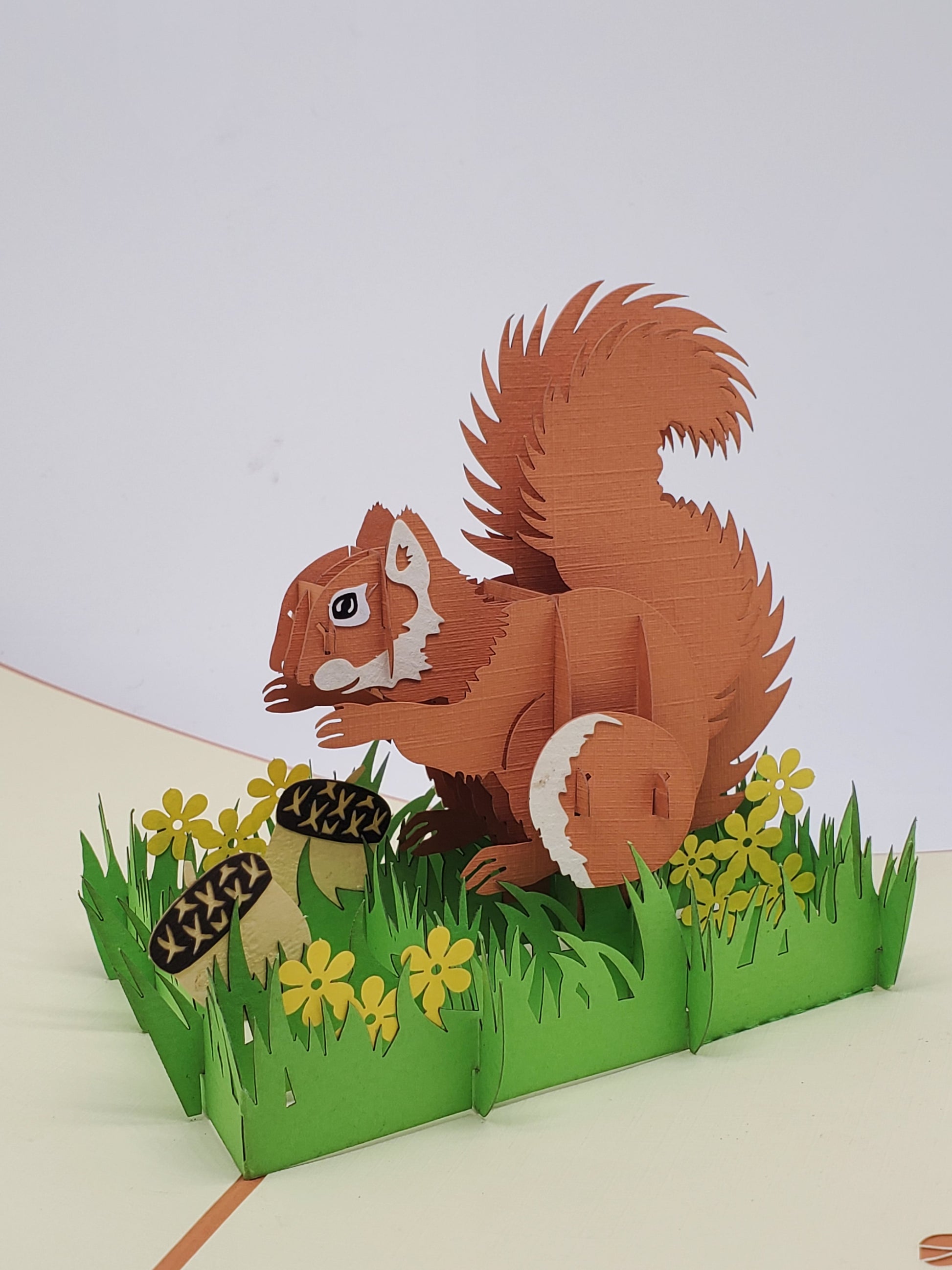 Squirrel 3D Pop Up Card